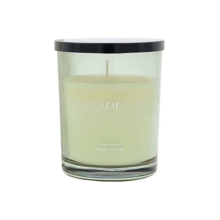 Leaf scented 50 hours, green House Doctor
