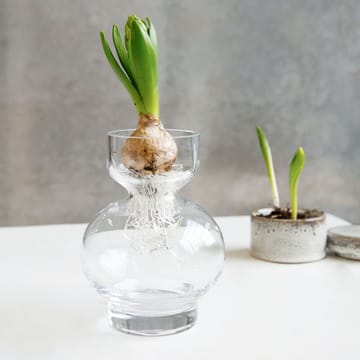 Lowa glass vase - lowa - House Doctor