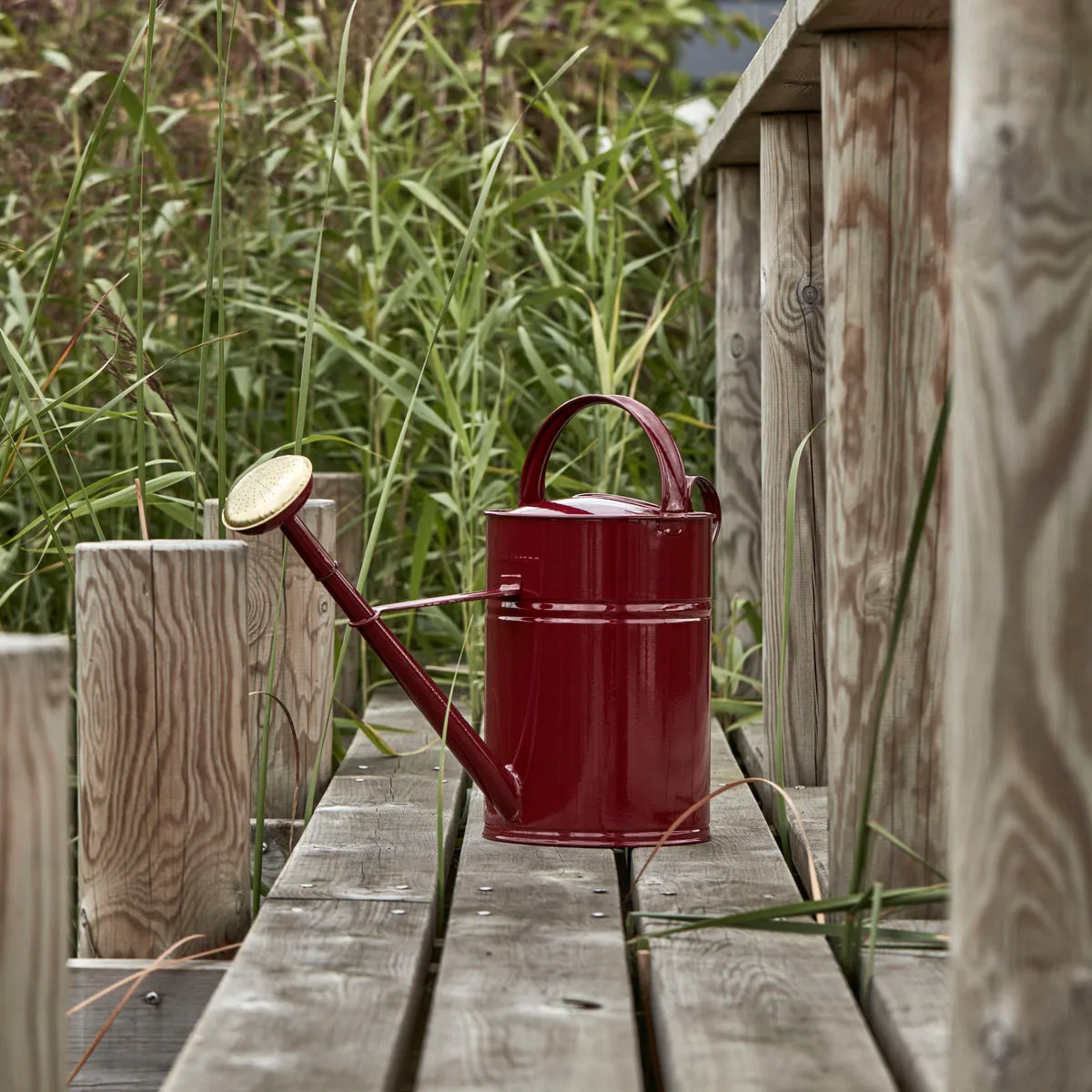 1/2 Gallon Watering Can - Rose Red Plastic, Long Spout, Comfortable Handle, For Indoor & Garden Plants