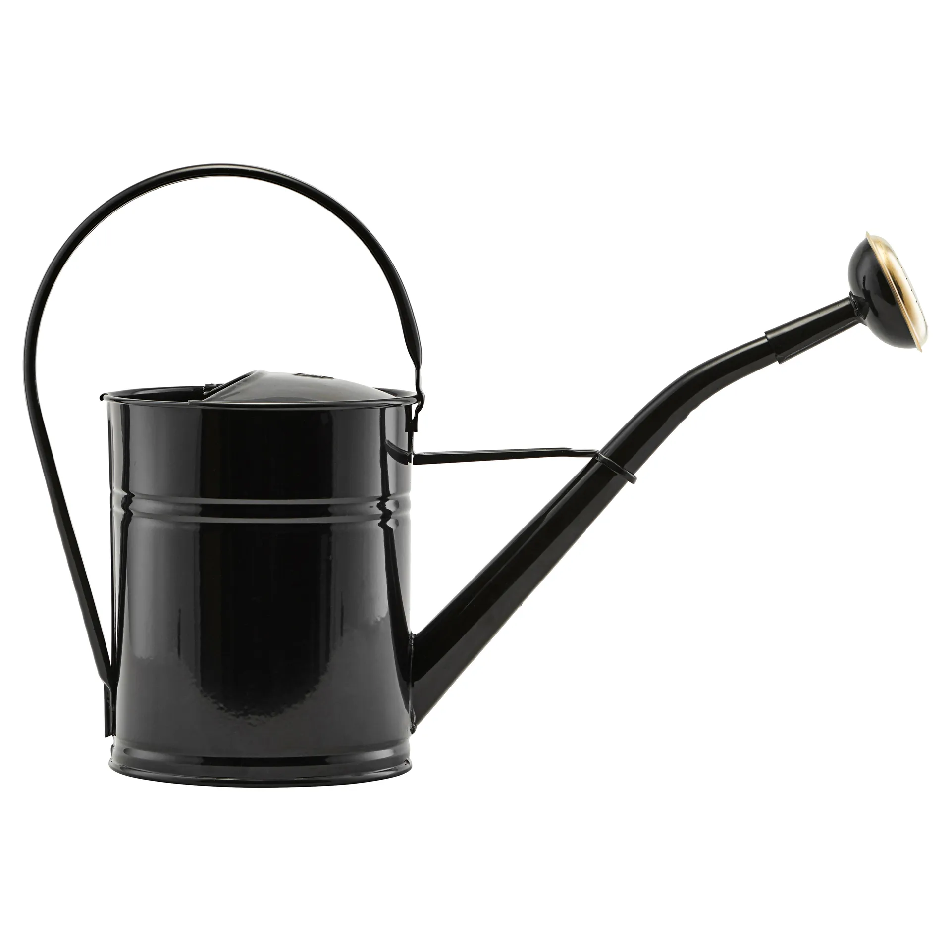 Water watering can, Black House Doctor