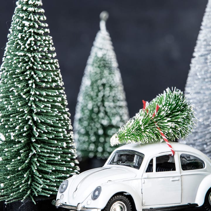 Xmas car, White House Doctor