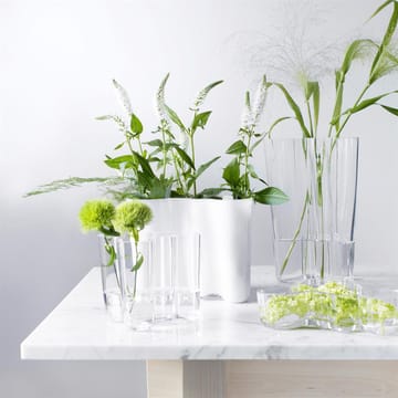 Aalto duo vase - clear - Iittala