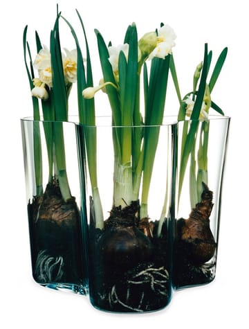 Alvar Aalto vase Savoy clear - 160 mm - Iittala