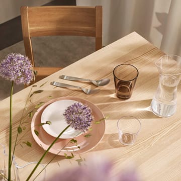 Citterio 98 cutlery set 24 pieces - matte stainless steel - Iittala