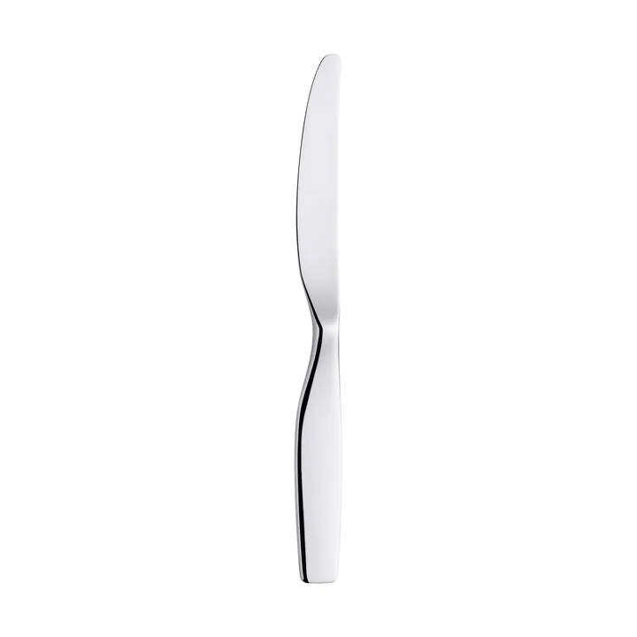 Citterio 98 dessert knife - Blank - Iittala