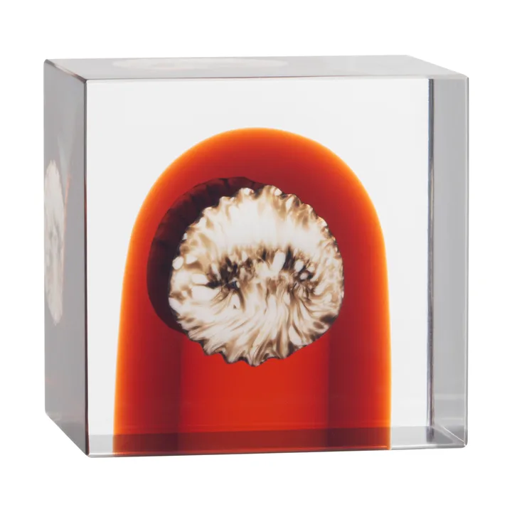 Iittala annual cube - 2026 - Iittala