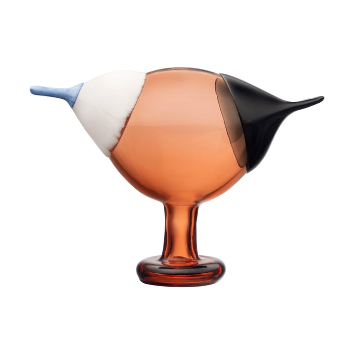 Kustskata 250x175 mm birds by Toikka - Bitter orange - Iittala