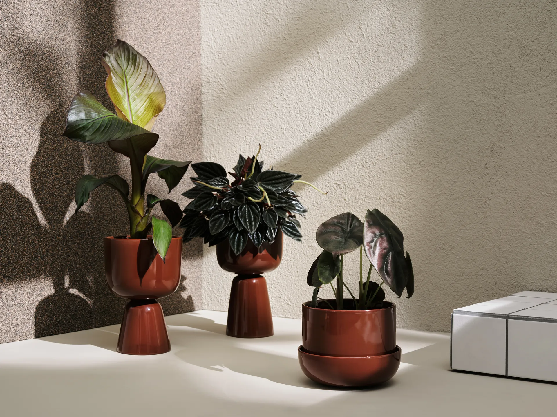 Nappula flower pot with saucer Ø17 cm h13 cm, Brown Iittala