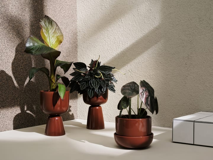 Nappula flower pot with saucer Ø17 cm h13 cm - Brown - Iittala