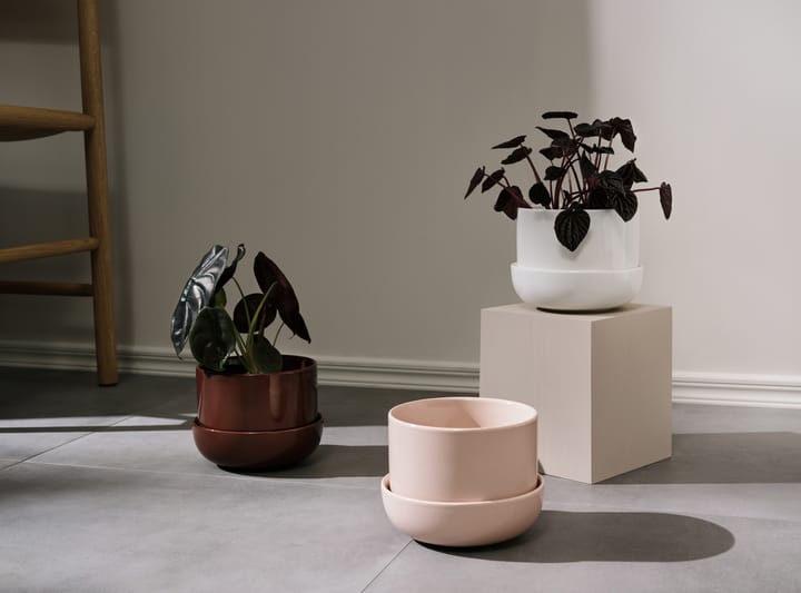 Nappula flower pot with saucer Ø17 cm h13 cm - Brown - Iittala