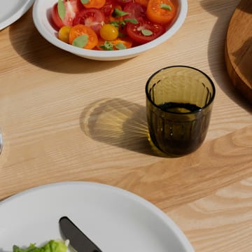 Raami drinks glass 2- pack - moss green - Iittala