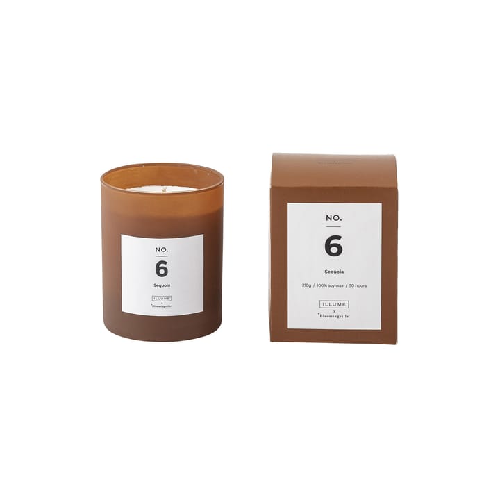 NO. 6 Sequoia scented candle - 200 g + giftbox - Illume x Bloomingville