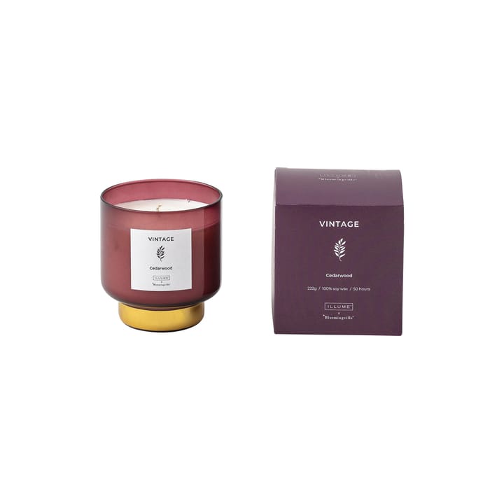 Vintage Cedarwood scented candle - 222 g - Illume x Bloomingville