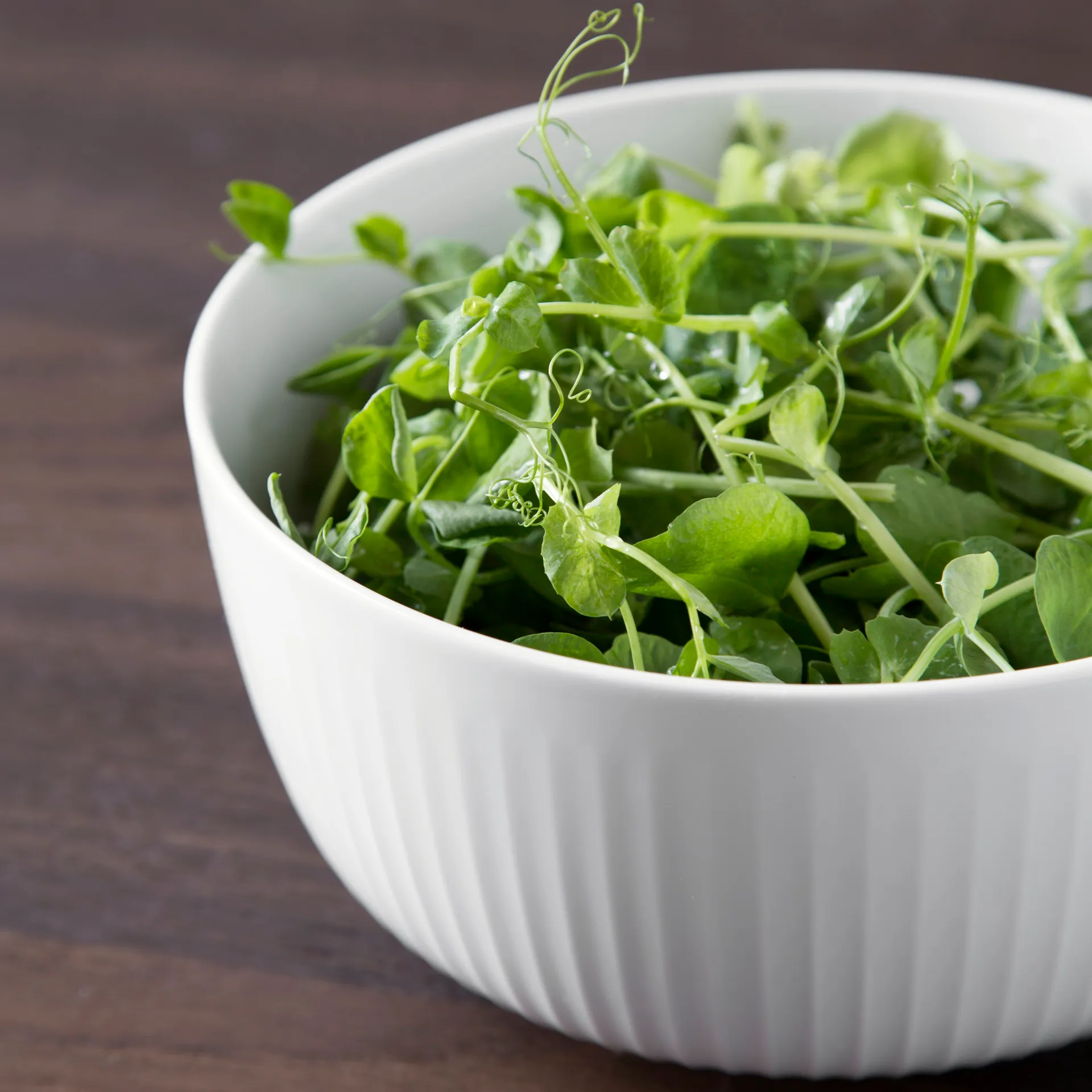 Hammershøi bowl Ø21 cm, white Kähler