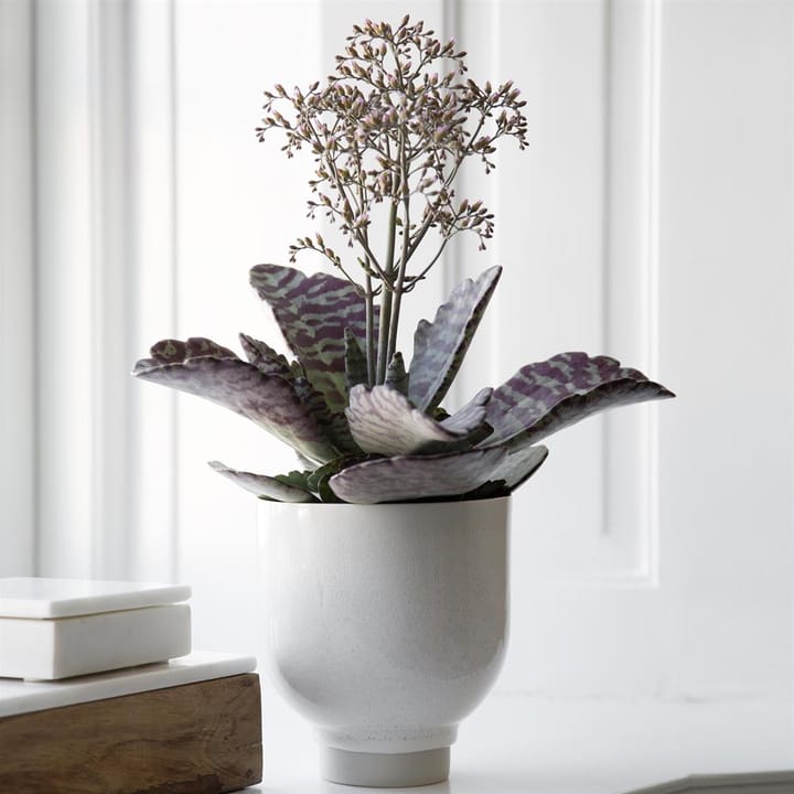 Unico flowerpot - white - Kähler
