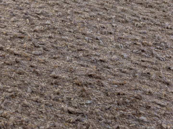 Woolly rug - Light brown 200x300 cm - Kateha