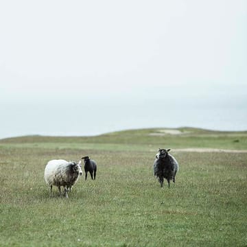 Velvet wool throw - rost - Klippan Yllefabrik