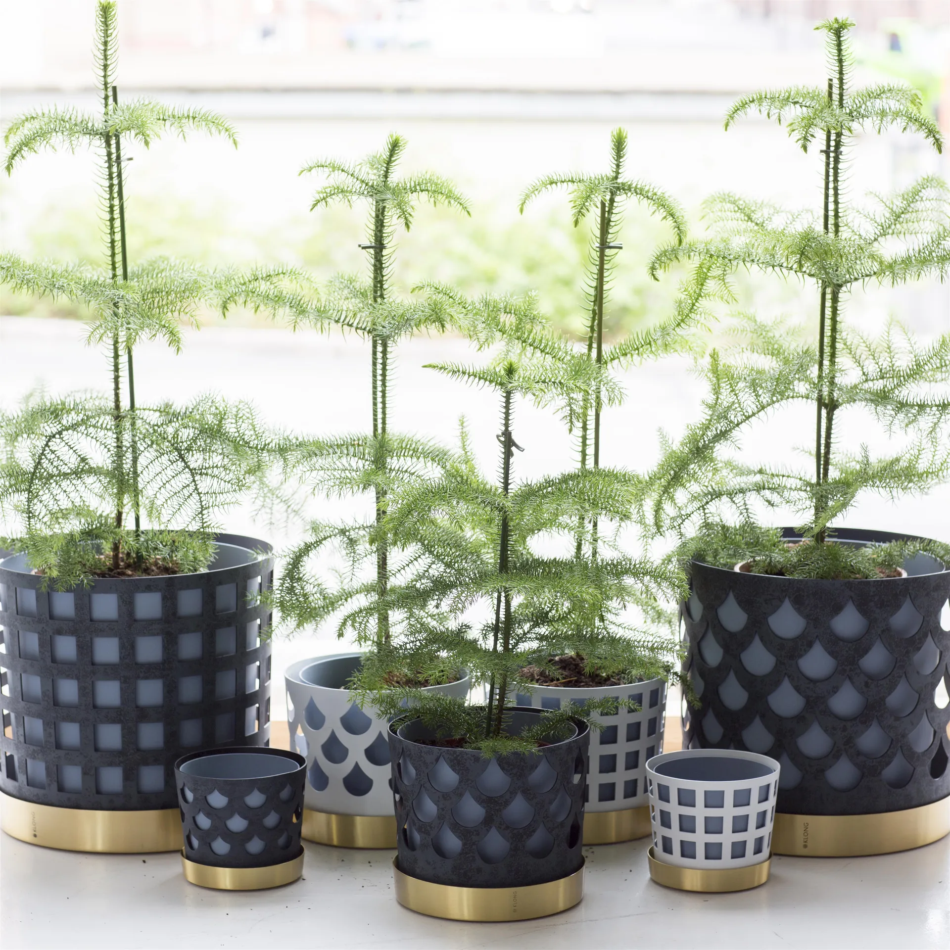 Trio flower pot square, medium, white KLONG