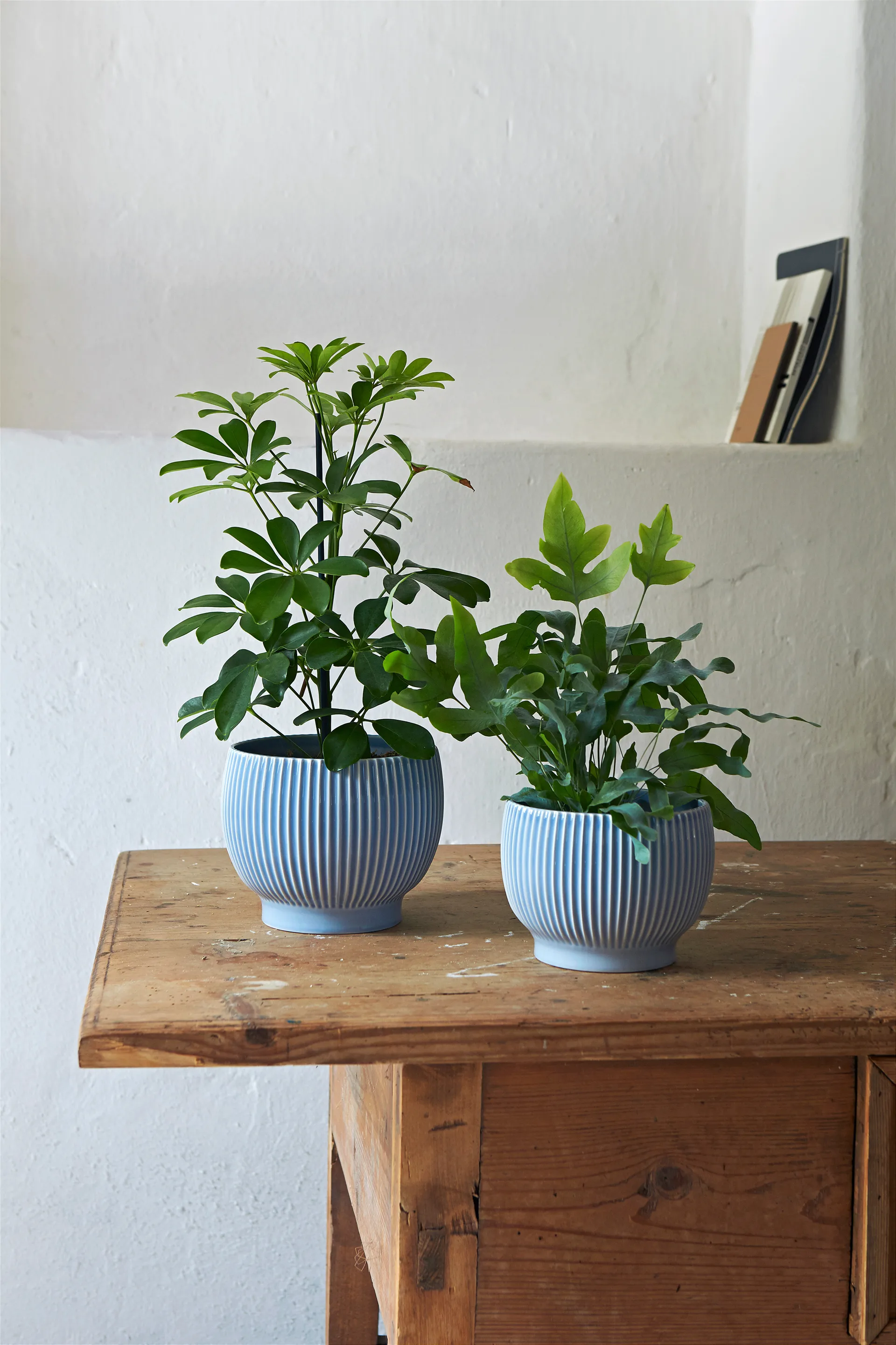 Knabstrup flower pot fluted Ø14.5 cm, Lavender blue Knabstrup Keramik