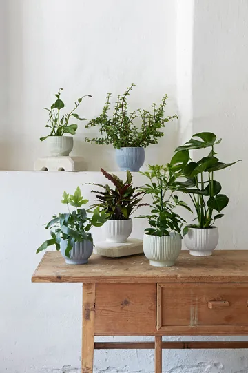 Knabstrup flower pot fluted Ø14.5 cm - Lavender blue - Knabstrup Keramik