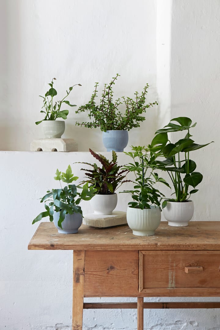 Knabstrup flower pot fluted Ø14.5 cm, Mint green Knabstrup Keramik