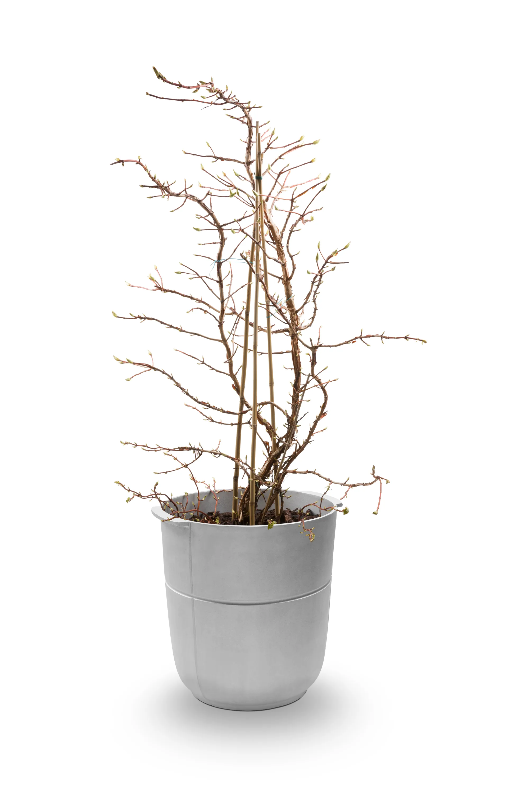 Linea pot no 1 high, Aluminium KORBO