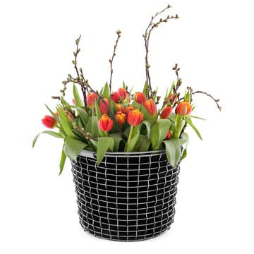 Plant bag for the Korbo basket 3-pack - 16 l - KORBO