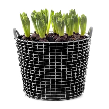 Plant bag for the Korbo basket 3-pack - 24 l - KORBO