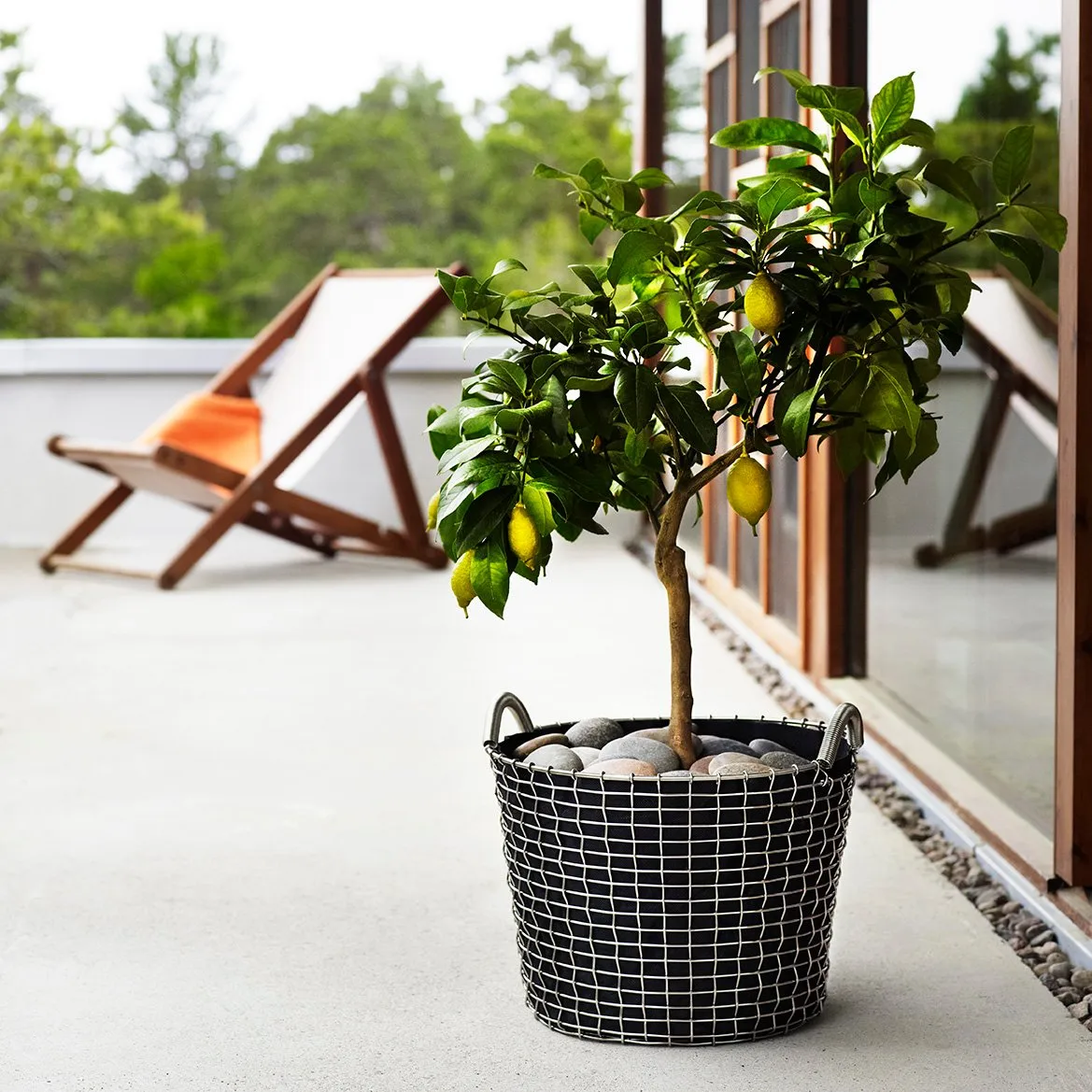 Plant bag for the Korbo basket 3-pack, 24 l KORBO