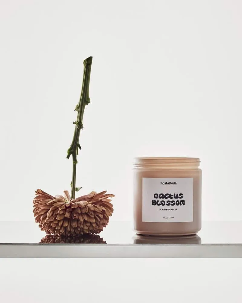 Mind scented candle, Cactus Blossom, 330 g Kosta Boda Mind scented candle, Cactus Blossom, 330 g Kosta Boda