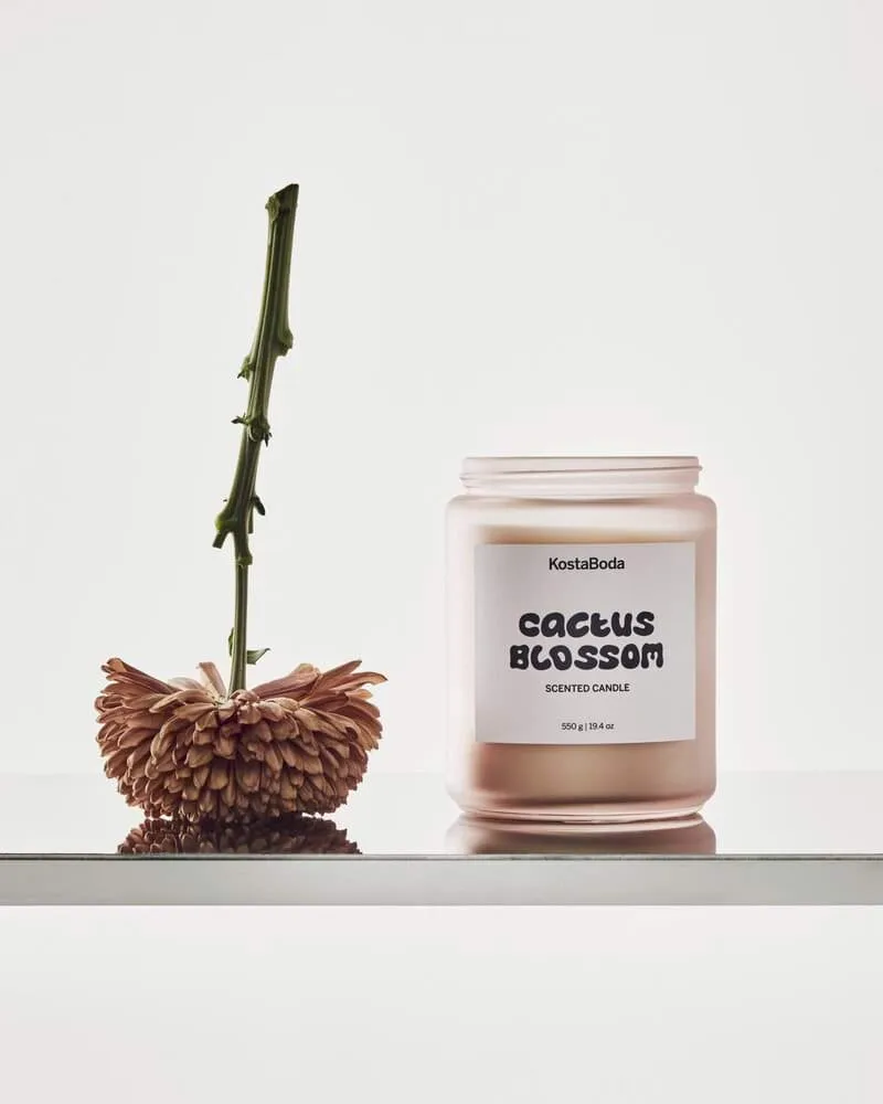 Mind scented candle, Cactus Blossom, 550 g Kosta Boda Mind scented candle, Cactus Blossom, 550 g Kosta Boda