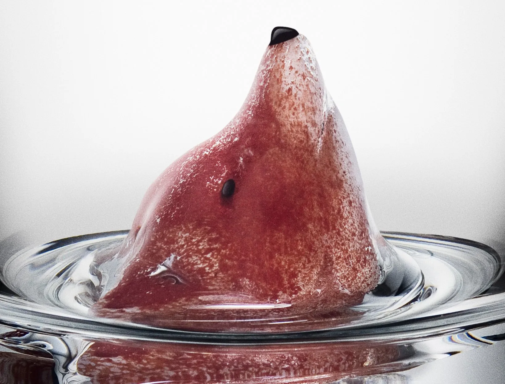 New Friends glass 46 cl, Fox Kosta Boda