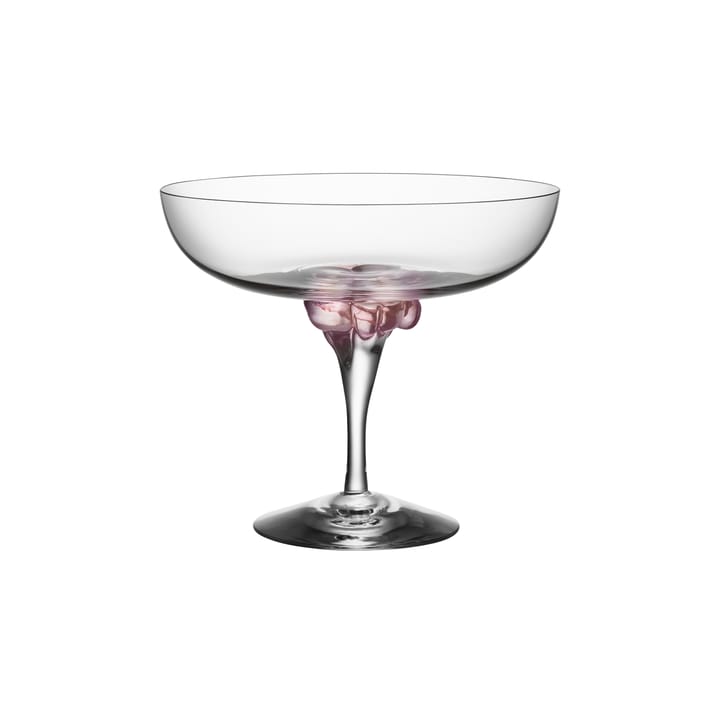 Sugar Dandy coupe glass 32 cl - pink - Kosta Boda