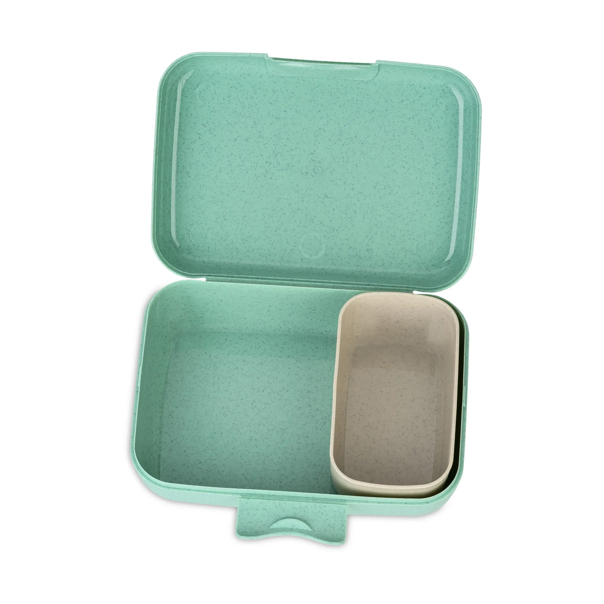 Candy lunch box L, Dinosaur Koziol