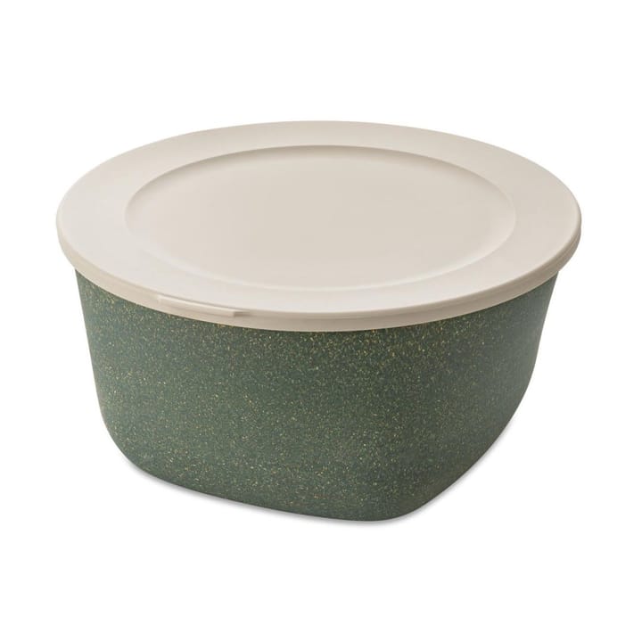 Connect bowl/jar with lid 4 l - Natural ash grey - Koziol