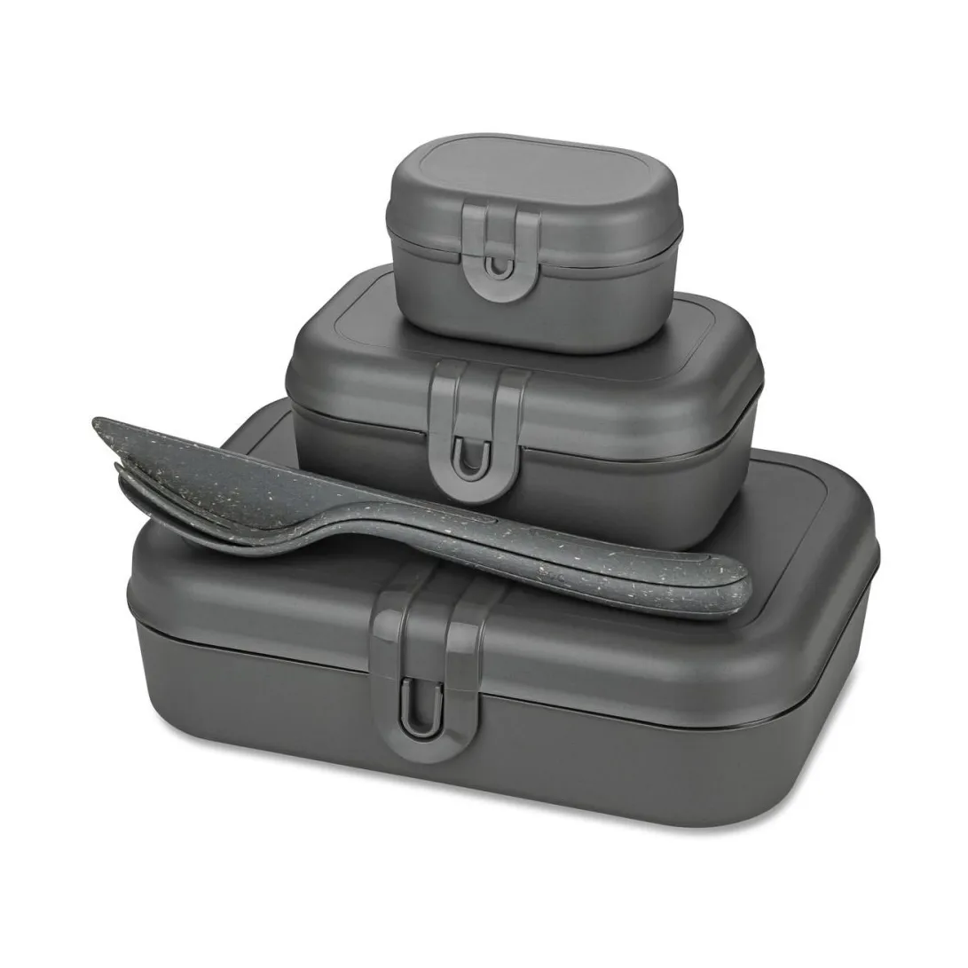 Pascal Ready Set 3x lunch box and cutlery, Natural ash grey Koziol