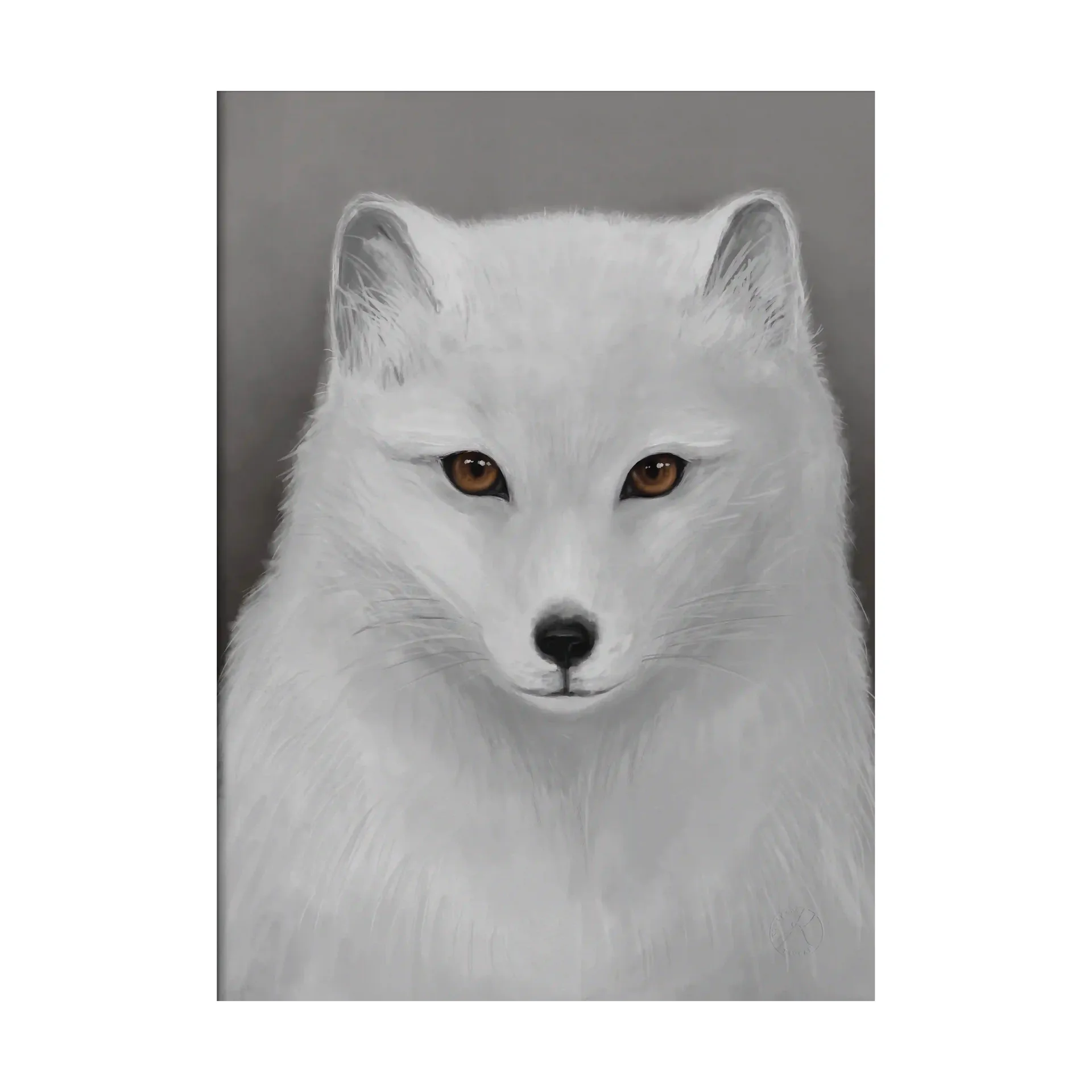 Arctic fox poster, 30x40 cm Kunskapstavlan®