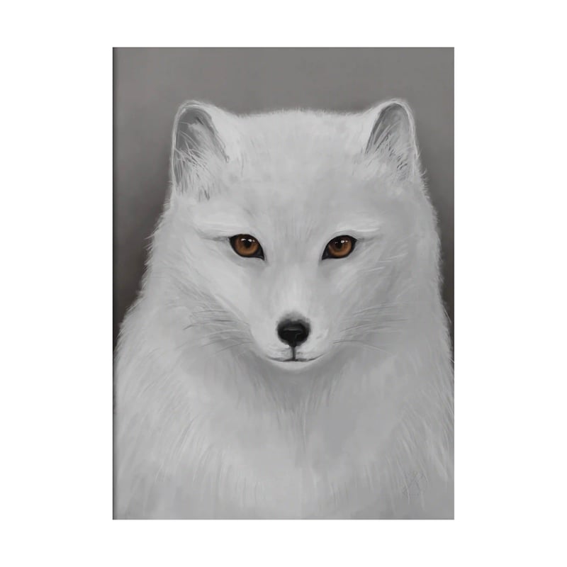 Kunskapstavlan® Arctic fox poster 30x40 cm