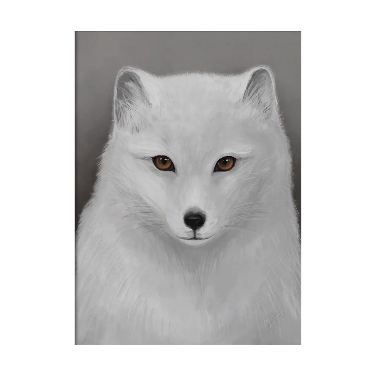 Kunskapstavlan® Arctic fox poster 30x40 cm