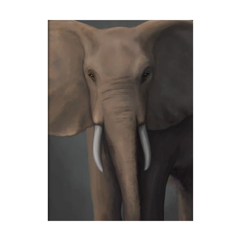 Kunskapstavlan® Forest elephant poster 30x40 cm