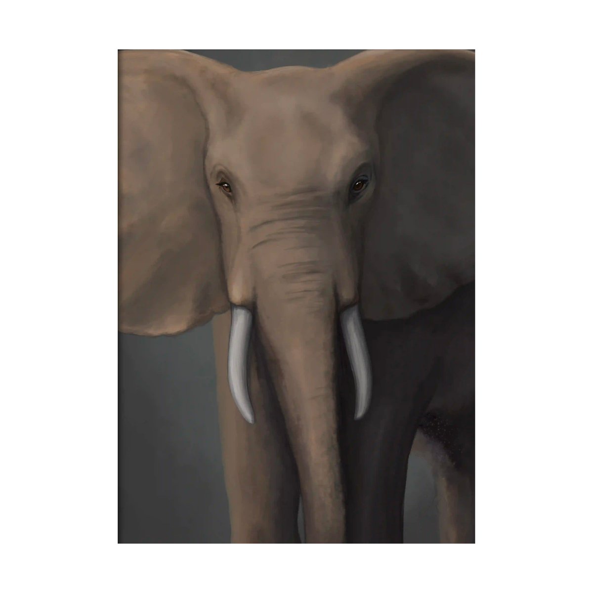 Kunskapstavlan® Forest elephant poster 50x70 cm