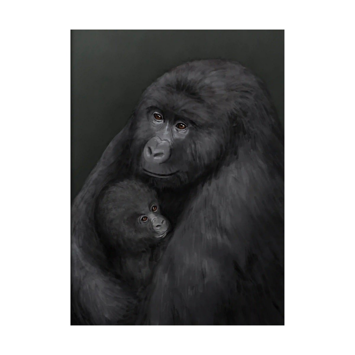 Kunskapstavlan Mountain gorilla poster 30x40 cm | Scandinavian Design | Posters | Multi