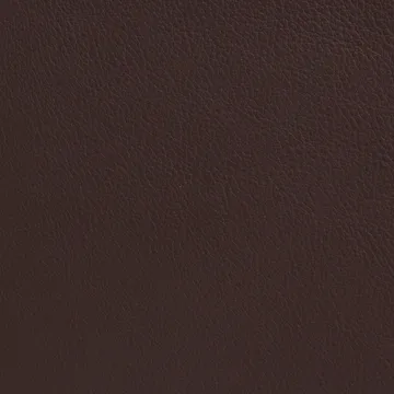 Cinema armchair - Elmo Nordic leather dark brown–chrome frame - Lammhults