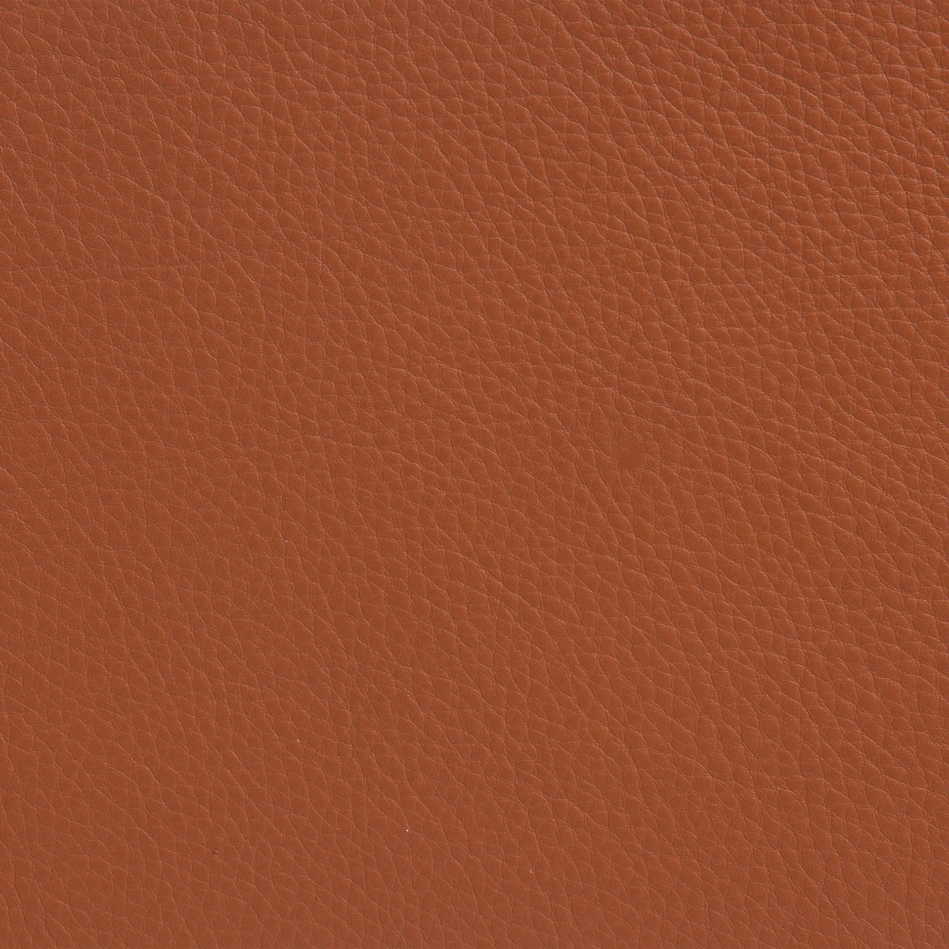 Sunny armchair with armrests, Leather Cognac–chrome frame with wheels Lammhults