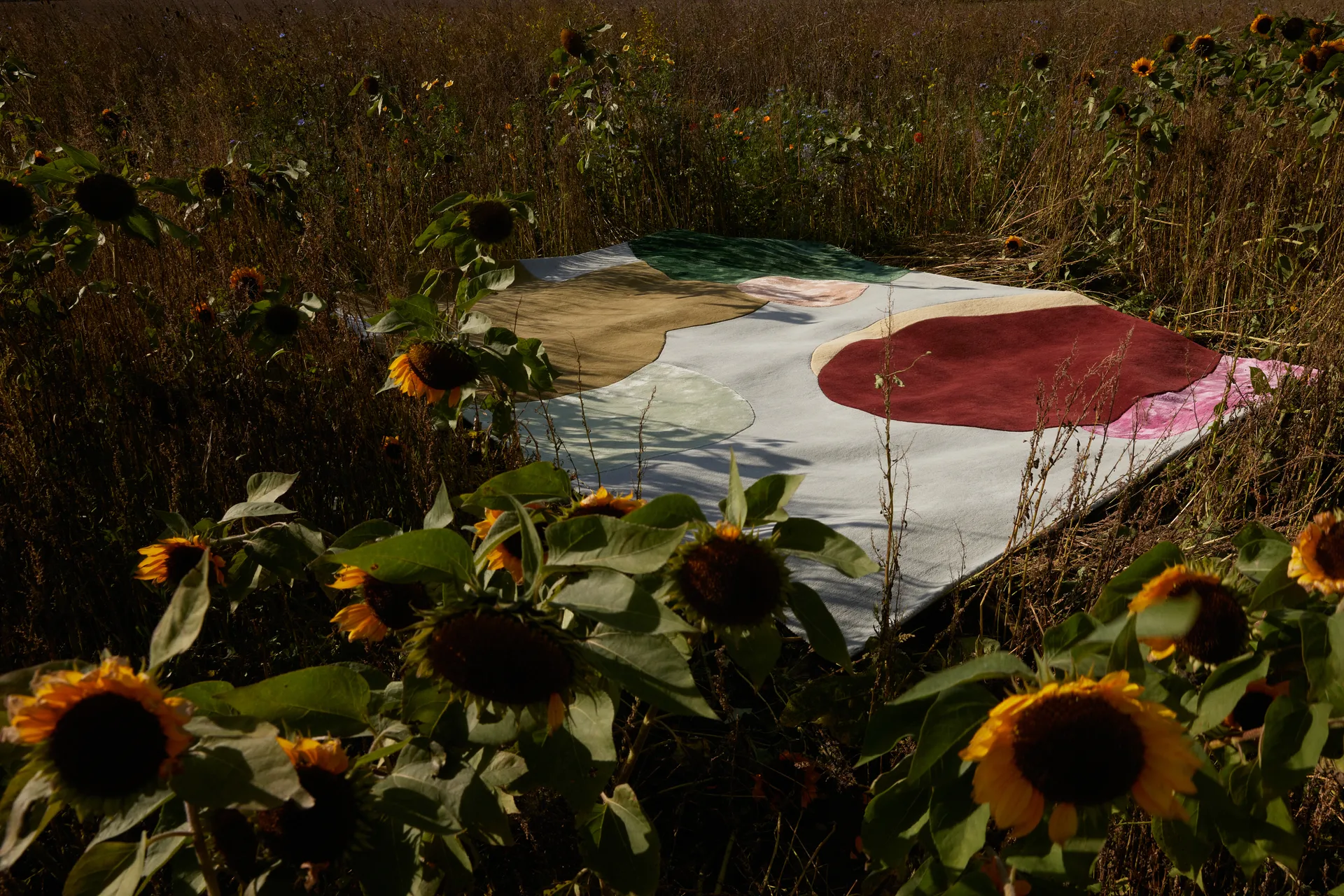 Sleeping Flower wool carpet, 250x350 cm Layered