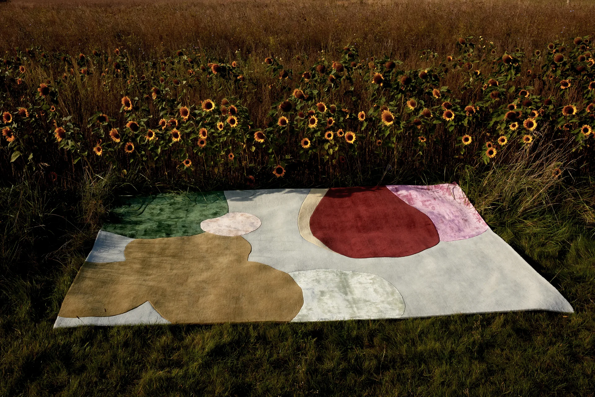Sleeping Flower wool carpet, 250x350 cm Layered