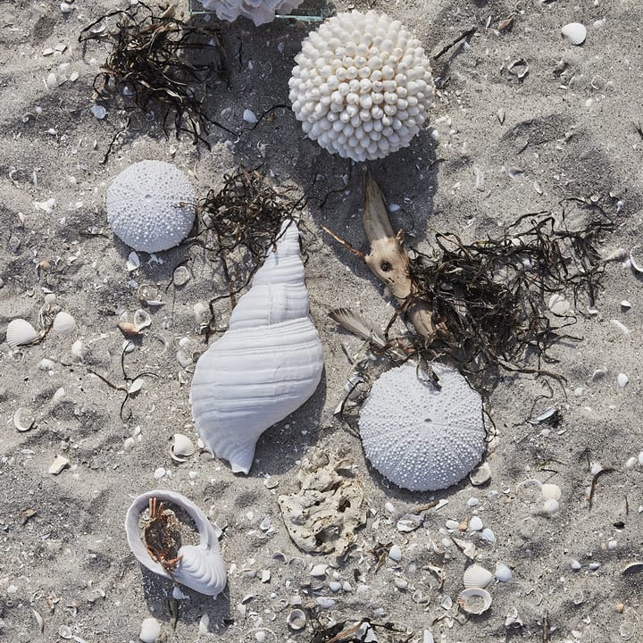 Serafina seashell - 10 cm - Lene Bjerre