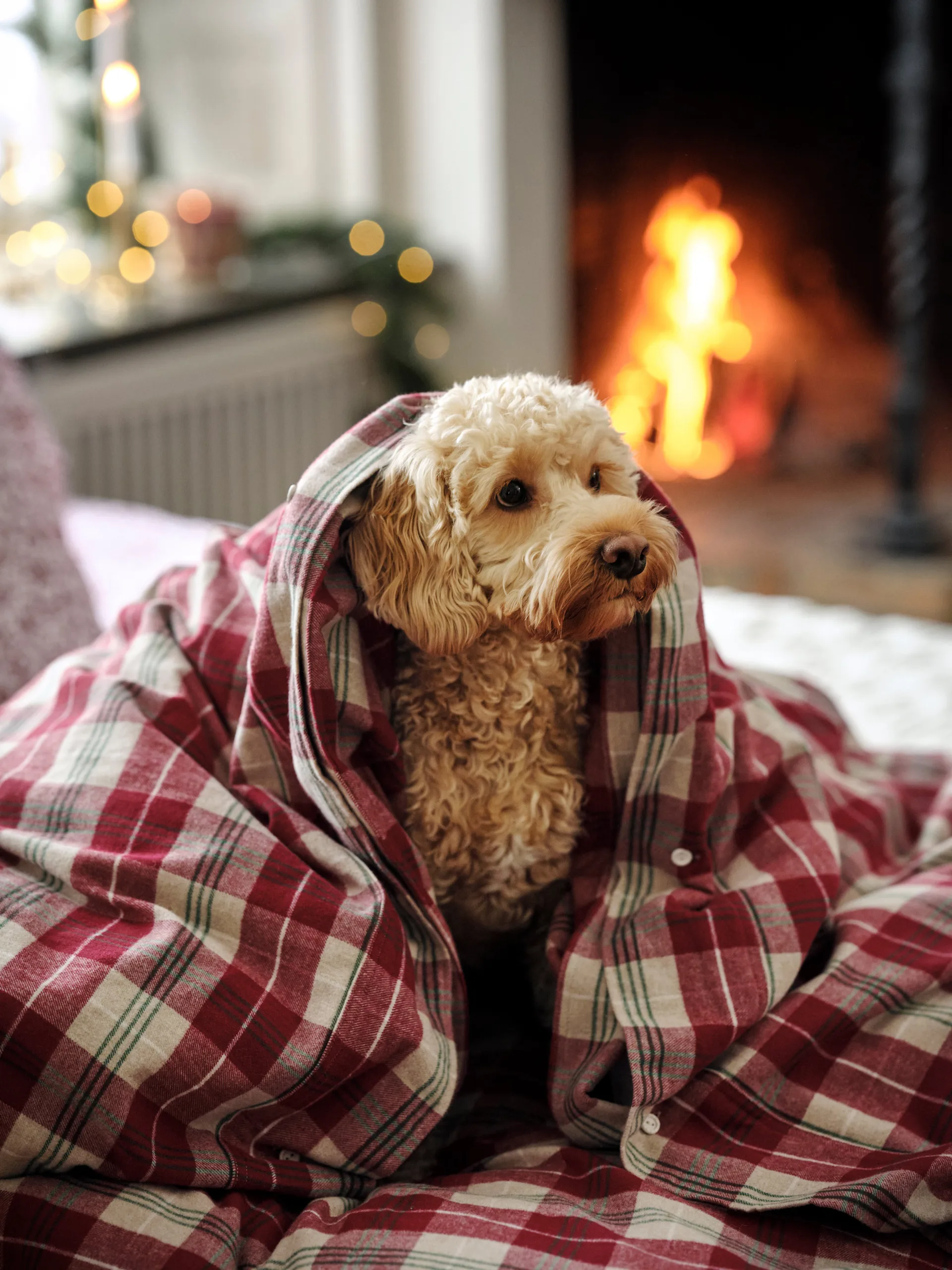 Checked cotton flannel bedding set, Red-beige-green-white Lexington