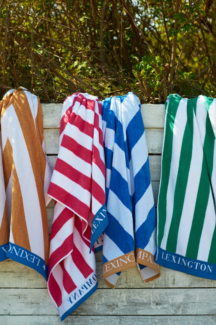 Graphic  Cotton Velour beach towel 100x180 cm - Beige-white-blue - Lexington