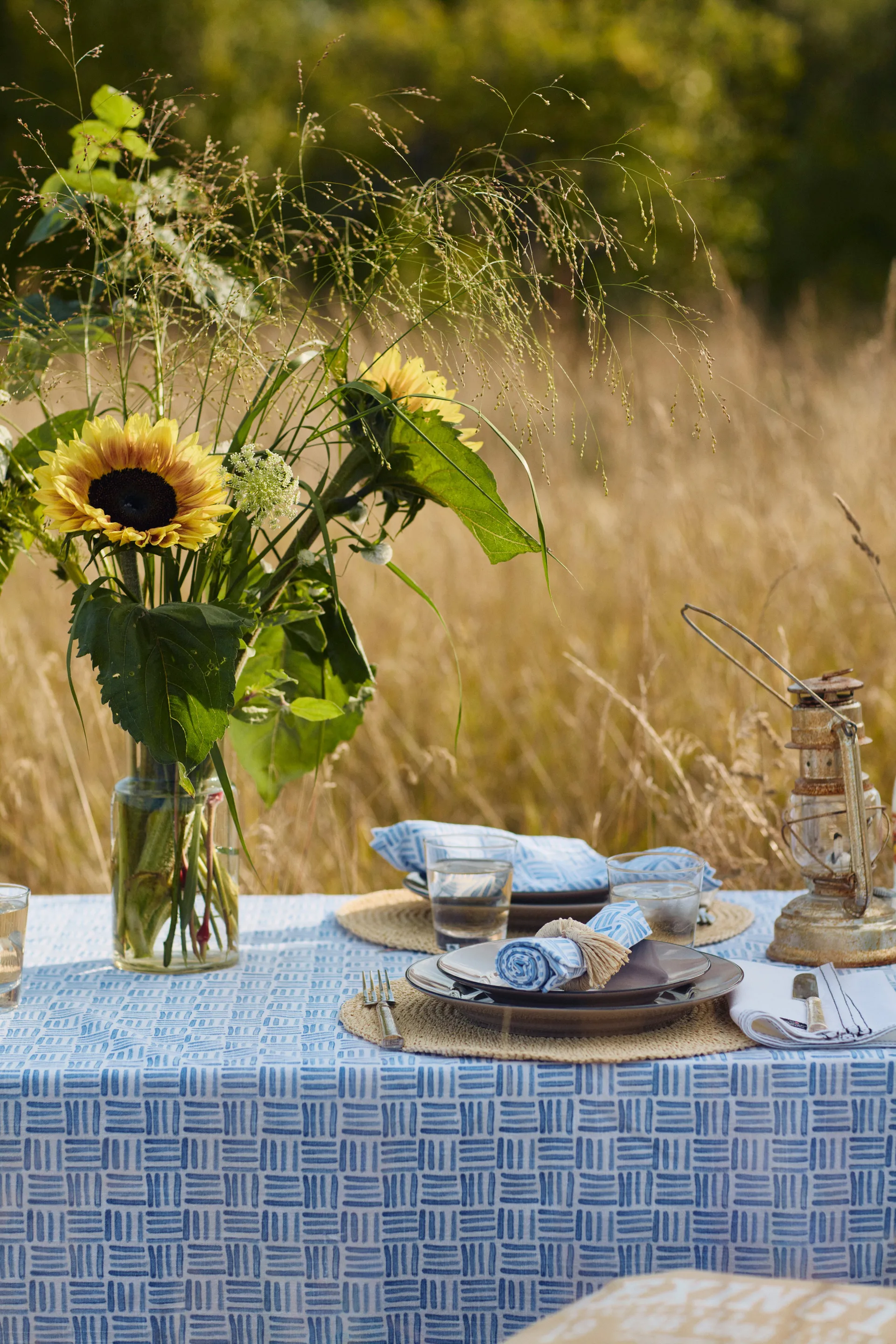 Graphic Printed Cotton napkin 50x50 cm, Blue-White Lexington